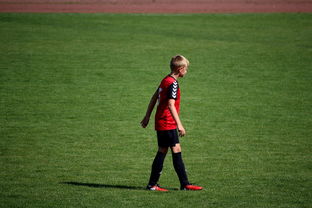 世界拳击青年赛中国选手勇夺金腰带，世界拳击表演赛