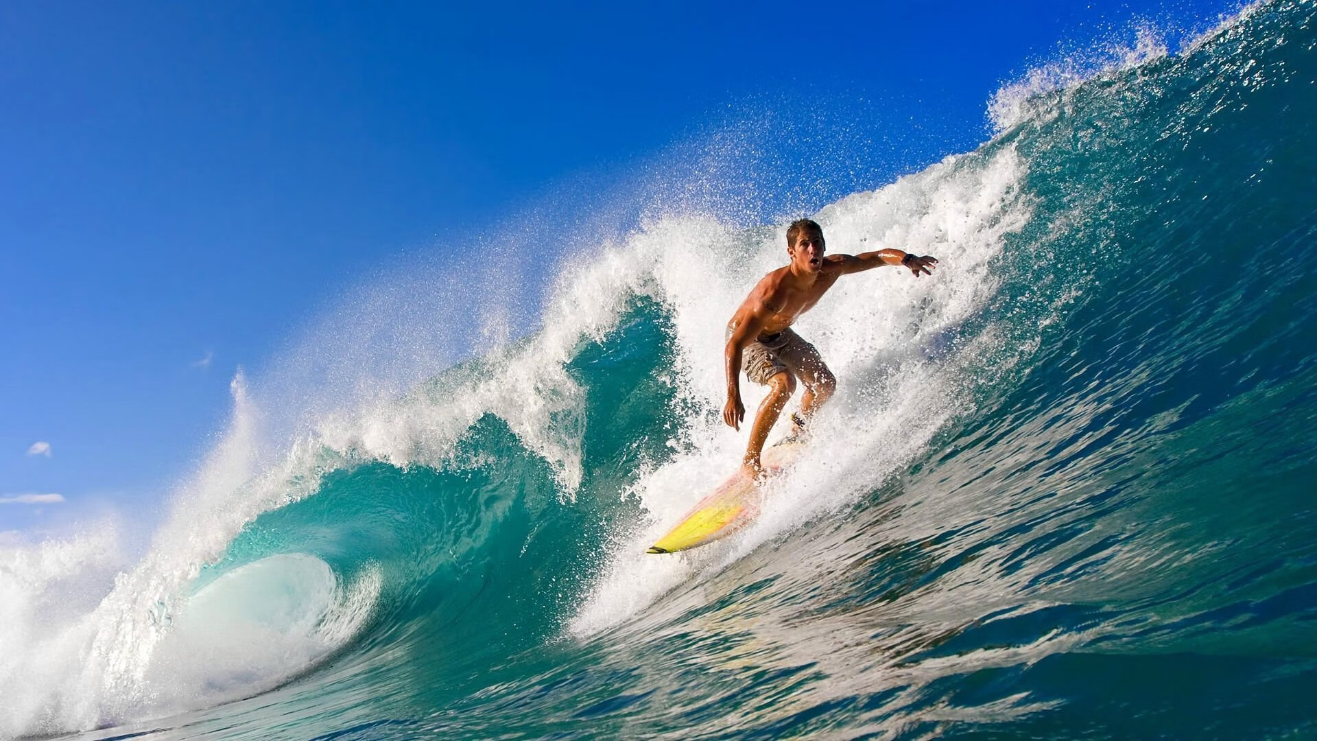 新西兰女子橄榄球引发全球关注，未来成发展重点，新西兰女子篮球队